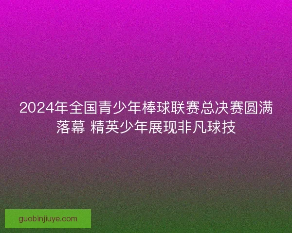 2024年全国青少年棒球联赛总决赛圆满落幕 精英少年展现非凡球技
